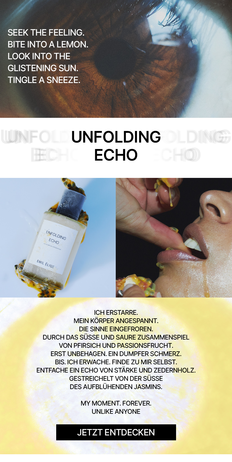 EMIL LISE UNFOLDING ECHO