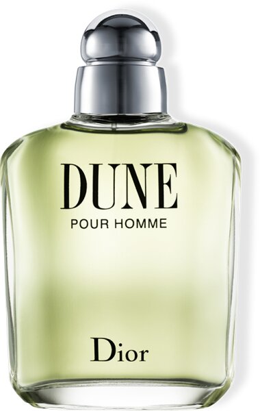 DIOR Dune Pour Homme Eau De Toilette 100 ml