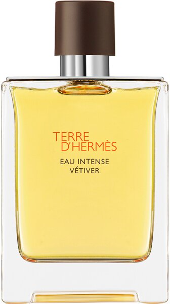 3346131430741 - Hermè s Terre dHermè s Eau Intense Vé tiver Eau de Parfum (EdP) 100 ml