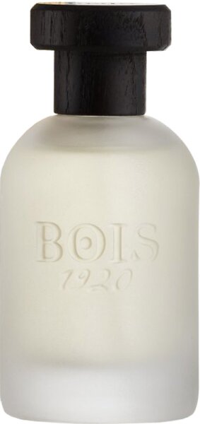 Bois 1920 Classic 1920 Eau de Parfum (EdP) 100 ml