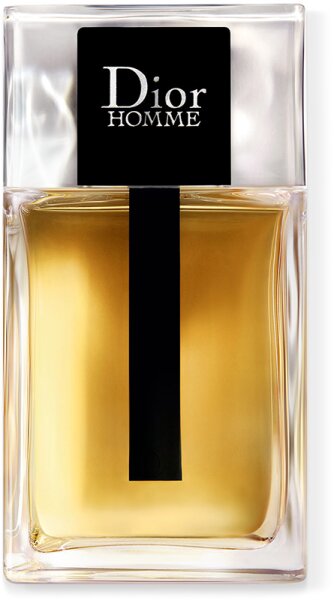 DIOR Homme Eau de Toilette (EdT) 100 ml