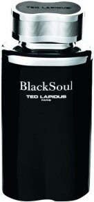 TED LAPIDUS BlackSoul Après Rasage After Shave Spray 100 ml