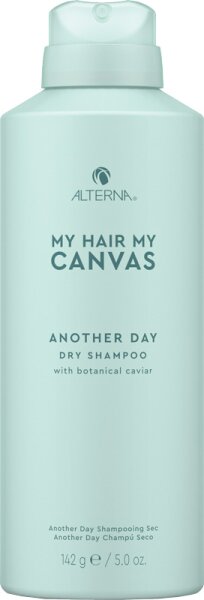 0873509029939 - ALTERNA My Hair My Canvas Another Day Dry Shampoo Haarshampoo