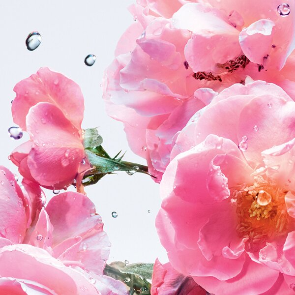 Miss dior roses n online roses eau de parfum