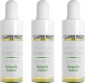 Gertraud Gruber Symbiosens Ampulle 3 x 4 ml