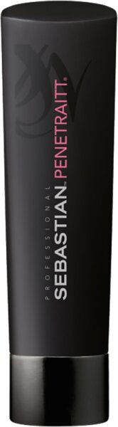 4064666225326 - Sebastian Penetraitt Shampoo 250 ml