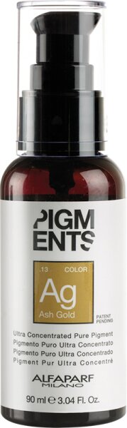 8022297042404 - Pigments - Ash Gold 90 ml