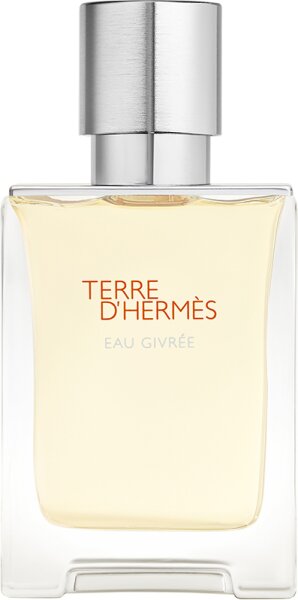 3346130012375 - Hermè s Terre dHermè s Eau Givré e Eau de Parfum (EdP) 50 ml