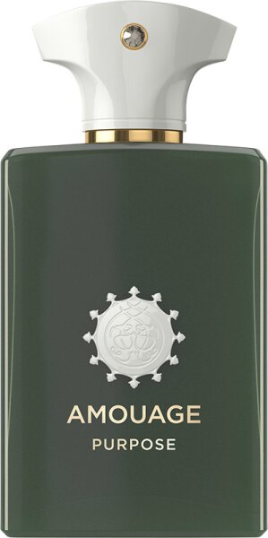 Amouage Purpose Eau de Parfum EdP 100 ml