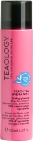 TEAOLOGY Peach Tea Hydra Mist 100 ml