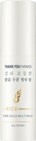 Thank You Farmer Rice Pure Aqua Multi Balm 10 g