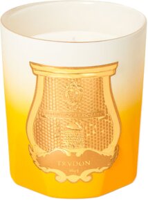 Aktion - Trudon De Oro Scented Candle 270 g