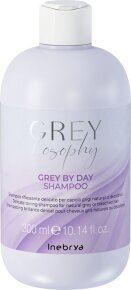 Inebrya Greylosophy Grey By Day Shampoo 300 ml