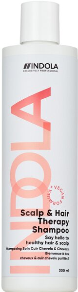 4067971052762 - Care & Style Care Scalp & Hair Therapy Shampoo 300 ml