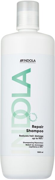 4067971053004 - Care & Style Care Repair Shampoo 1000 ml