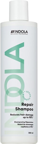 4067971052243 - Care & Style Care Repair Shampoo 300 ml