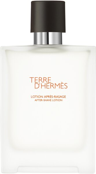 3346130009726 - Hermè s Terre dHermè s After Shave Lotion 100 ml