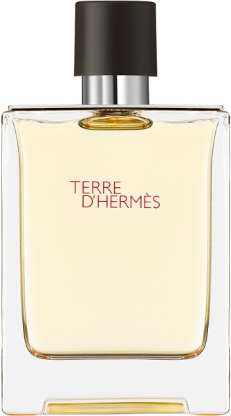 3346130009603 - Hermè s Terre dHermè s Eau de Toilette (EdT) 100 ml