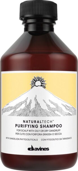 8004608236597 - Pflege Naturaltech Purifying Shampoo 100 ml