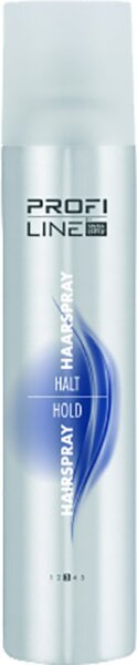 4104260512139 - Profi Line Haarstyling Halt Haarspray 500 ml