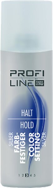 4104260512856 - Profi Line Haarstyling Halt Farbfestiger silber 200 ml